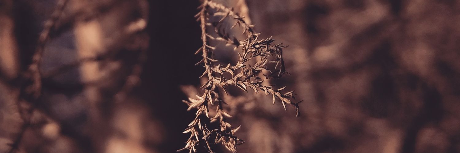 IvanAlmeida95's profile banner image