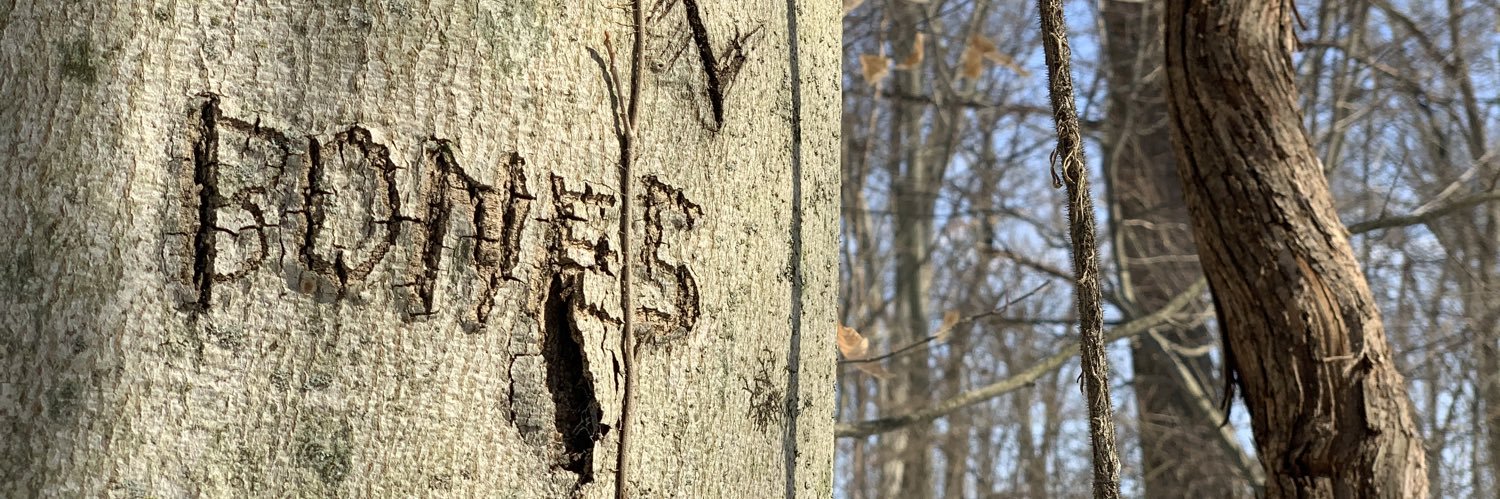 StiversonTaylor's profile banner image