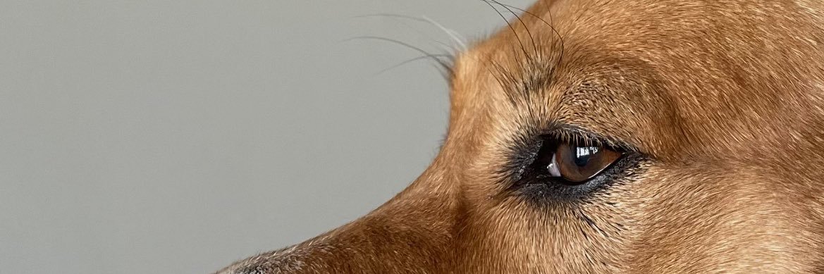 _Jorke_'s profile banner image