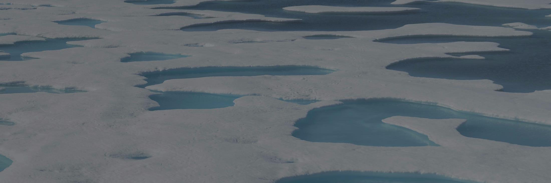 ArcticDeeply's profile banner image
