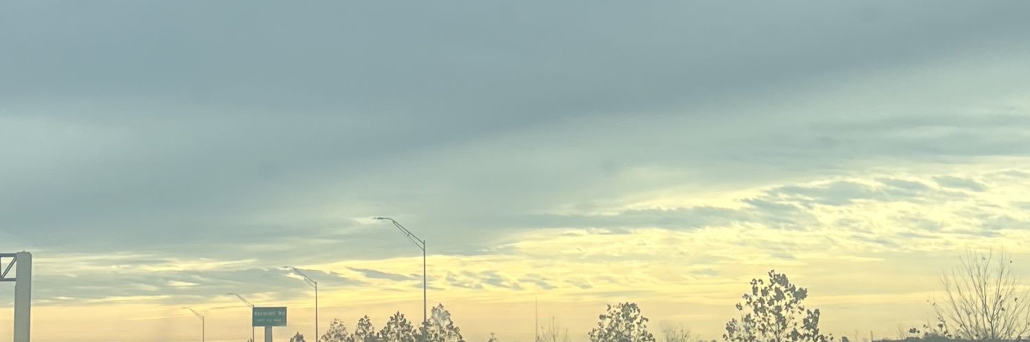 _lizbeth_A_'s profile banner image
