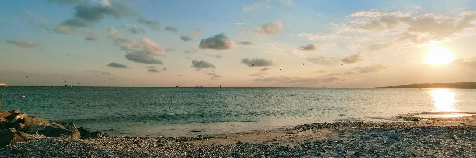scanbasoglu's profile banner image