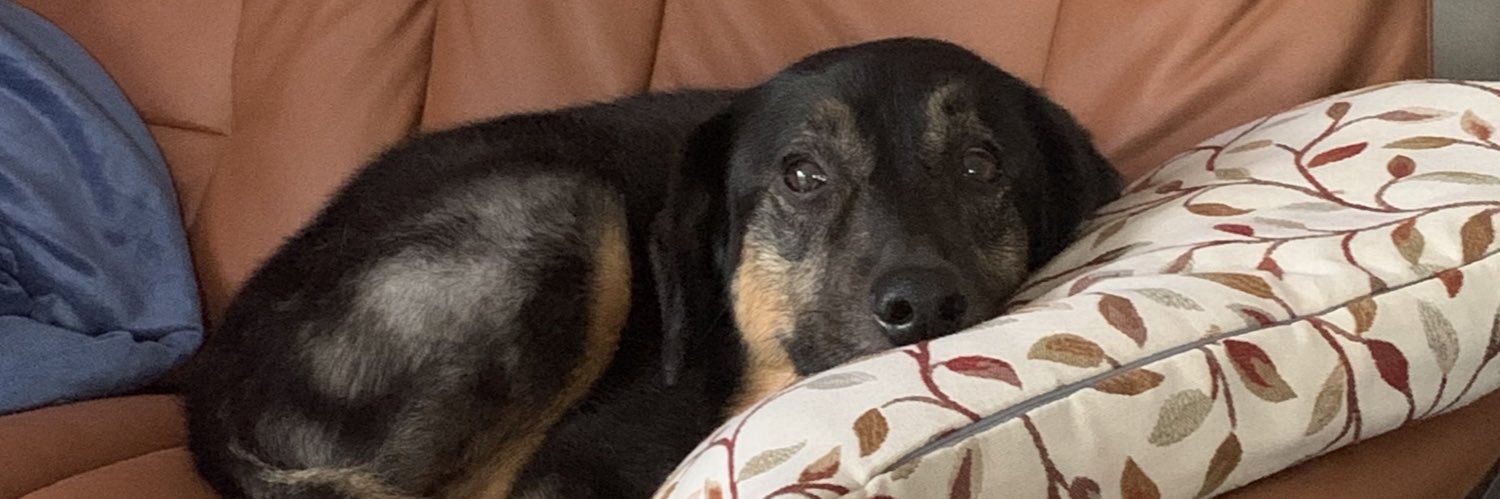 ABombFirocious's profile banner image