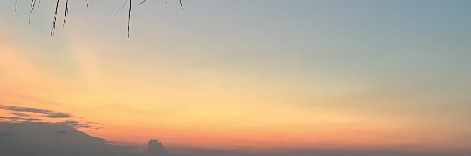 ari_hilya's profile banner image