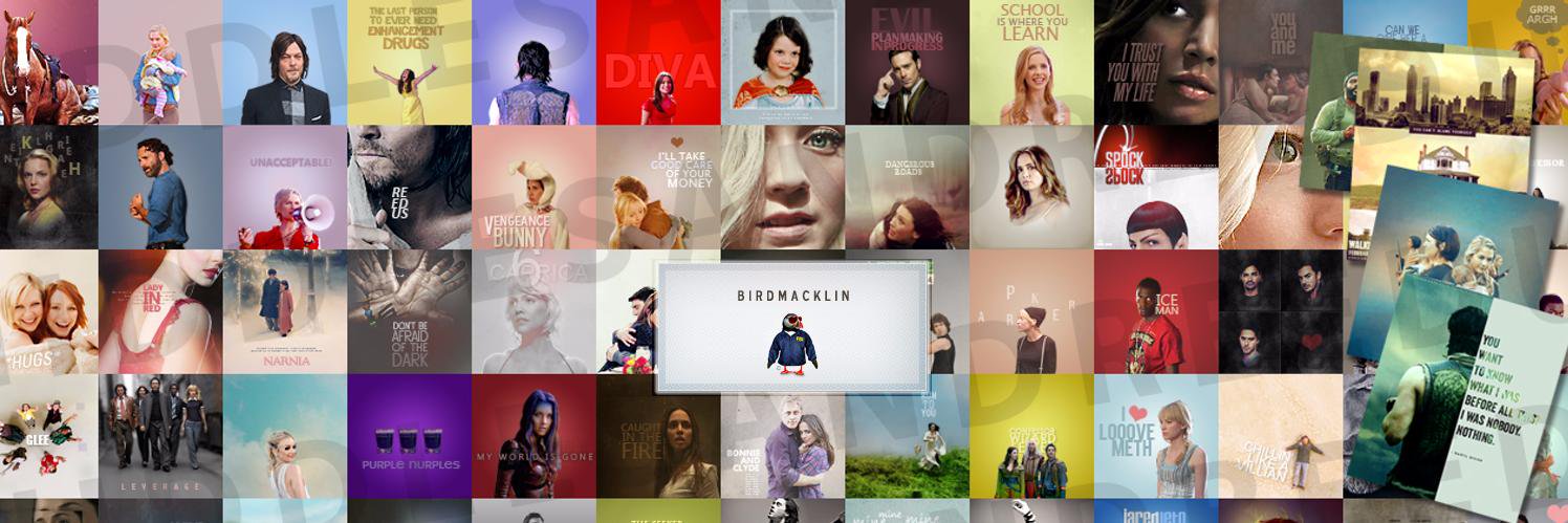 birdmacklin's profile banner image