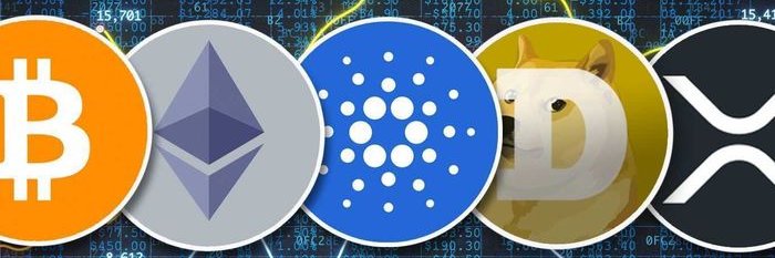 Stanley Man ❄️ banner