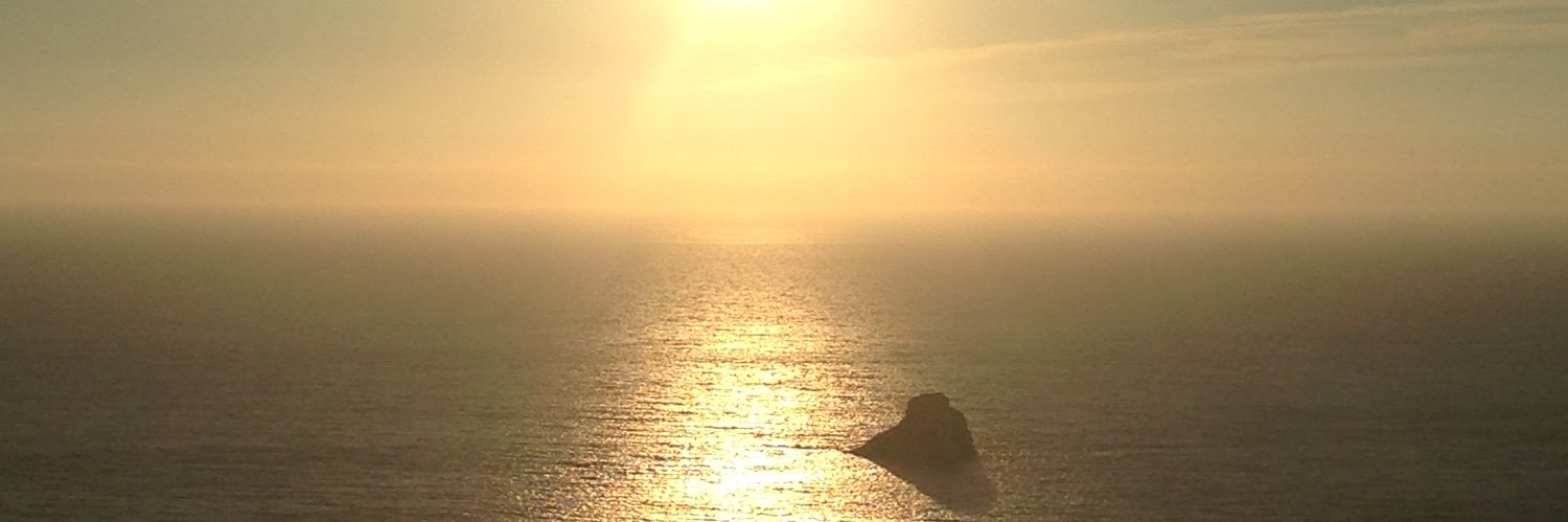 rey_simba's profile banner image
