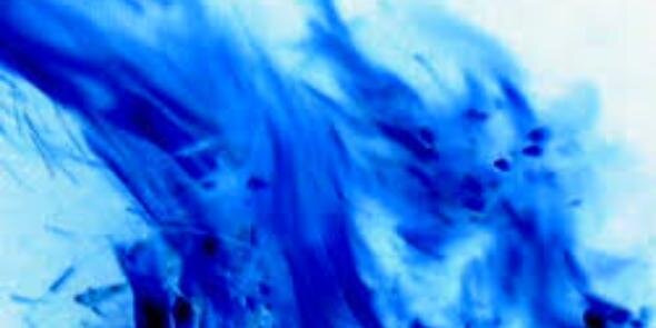 oliver leandro  banner