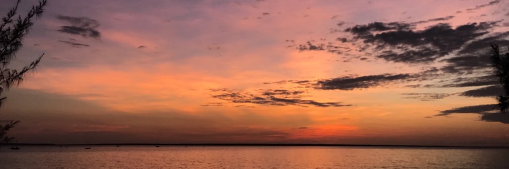 Georgia Hitch banner