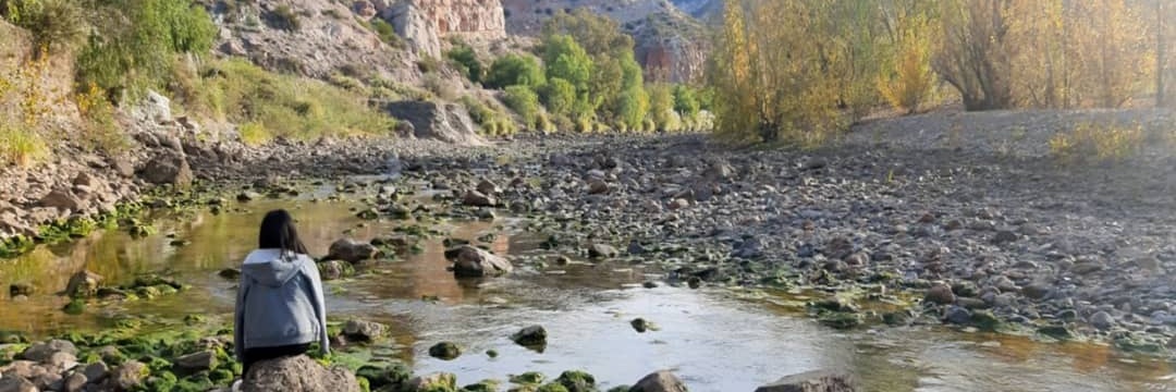 Judit_ok's profile banner image