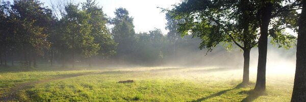 kirlant Profile Banner