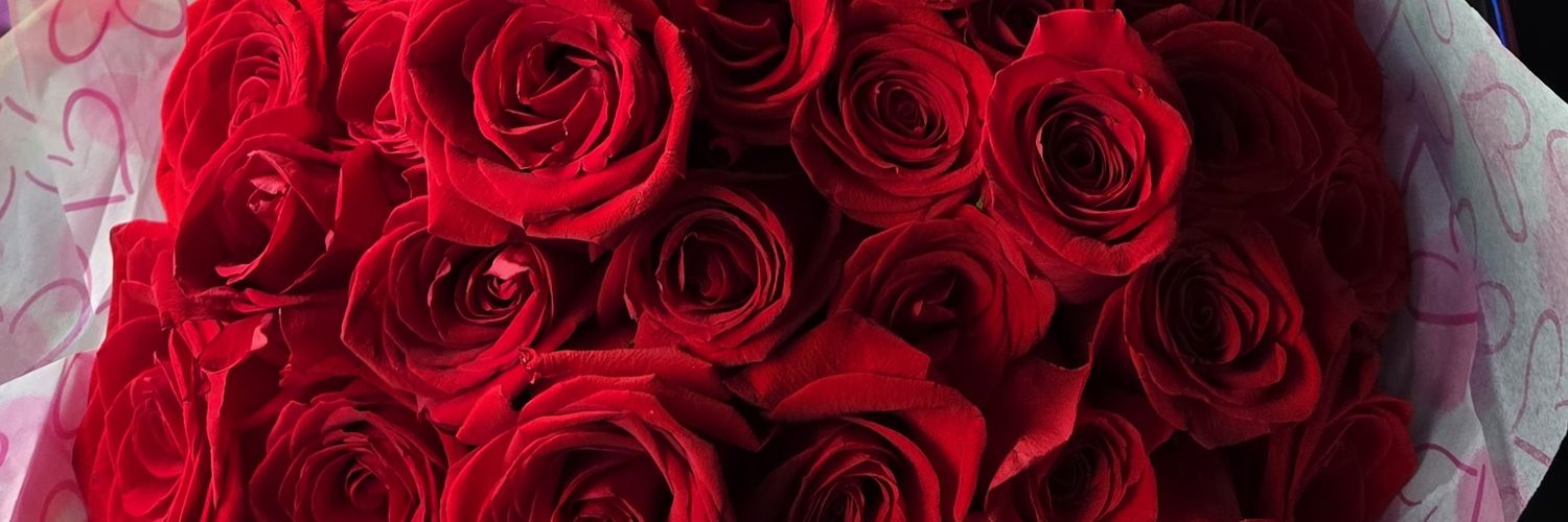 vanessa_b11's profile banner image