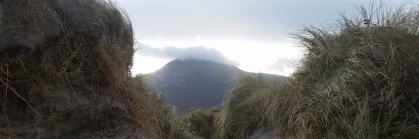 Siurtain Profile Banner