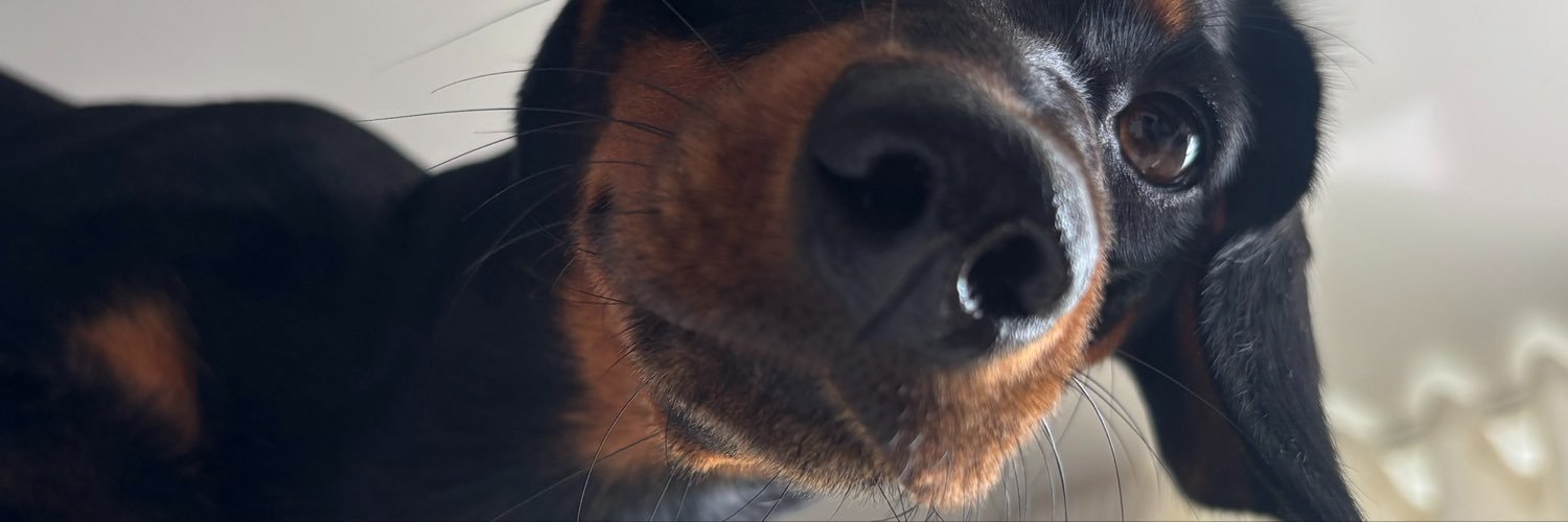 tomatesbatatas's profile banner image