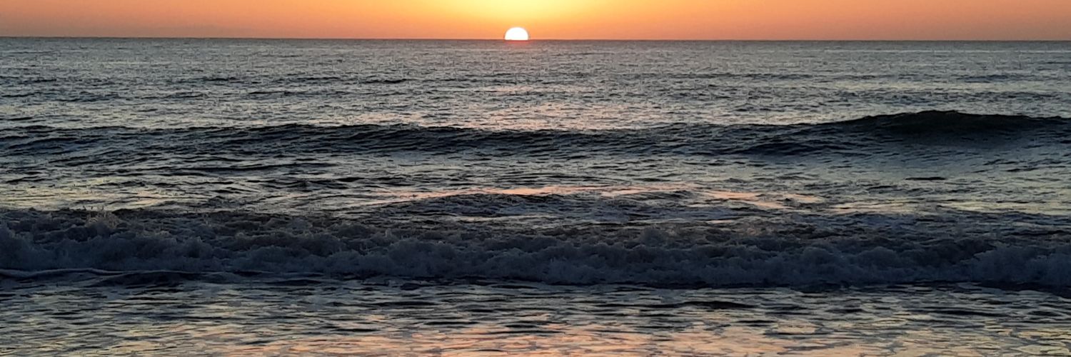 franguntern's profile banner image