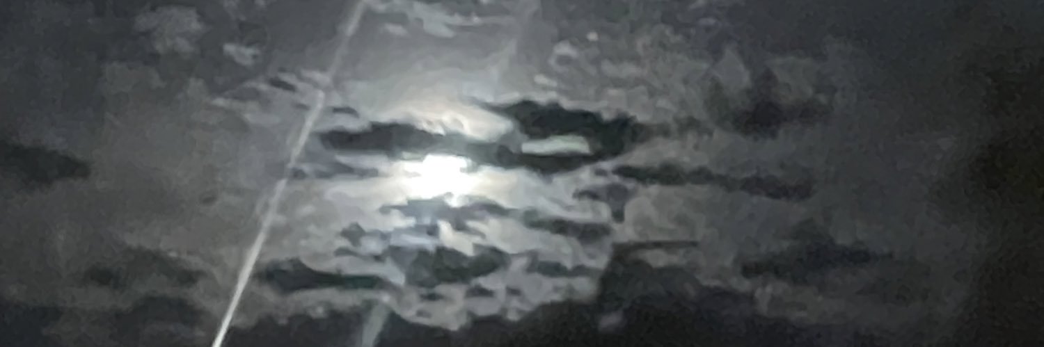 littleskitttle's profile banner image