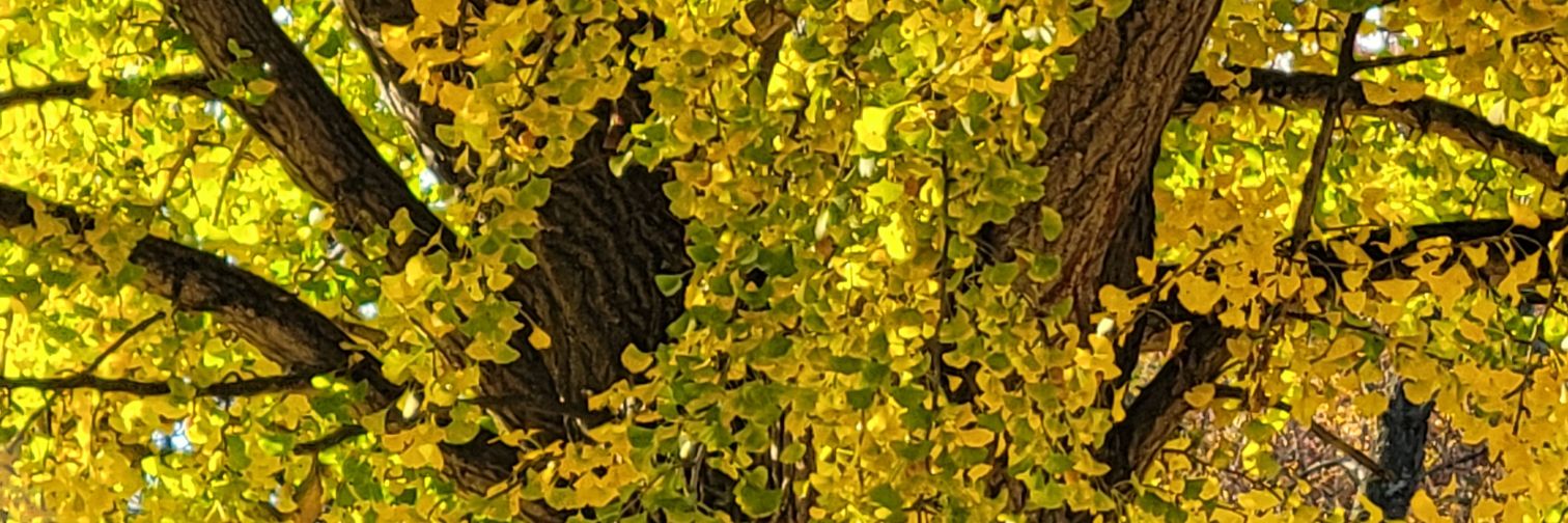 Hawck73's profile banner image
