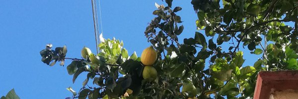 r_carceller Profile Banner