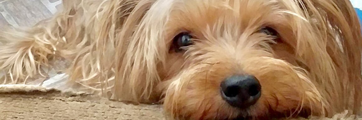 findingcory_'s profile banner image