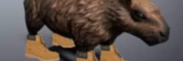 CatsWoof's profile banner image