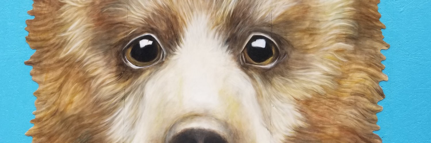BucodaWarren's profile banner image
