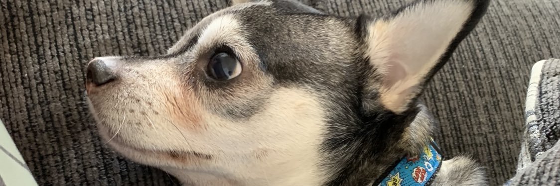kamotekev's profile banner image