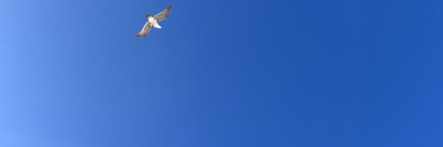 devilmandrade's profile banner image