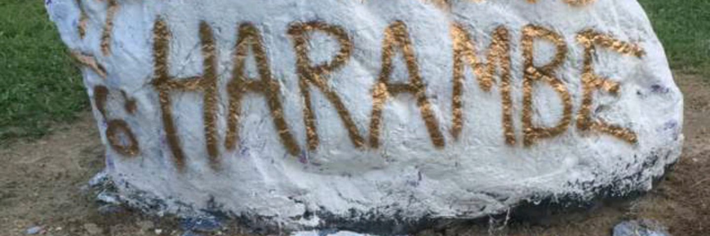 jordanldillard's profile banner image