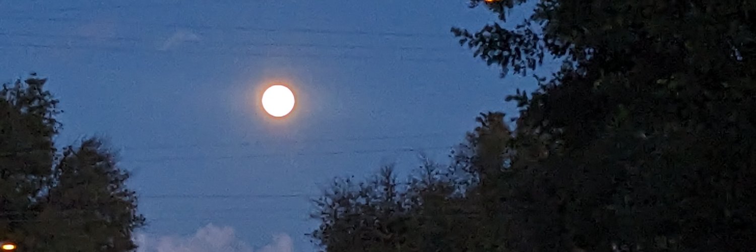 RobertCartland's profile banner image