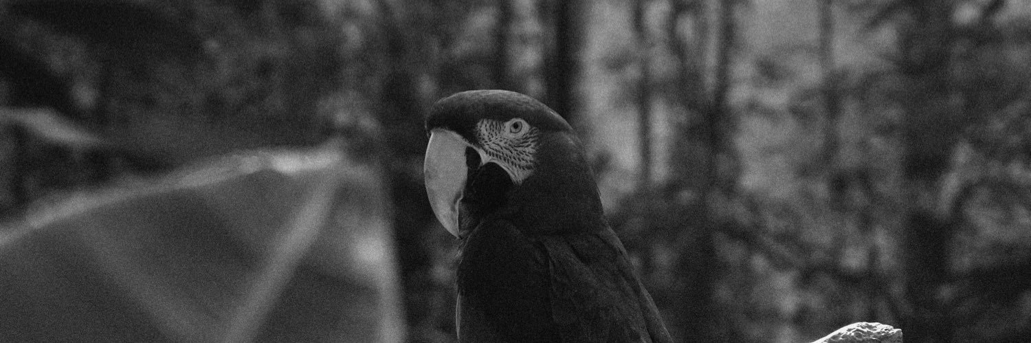 dariuscleare's profile banner image