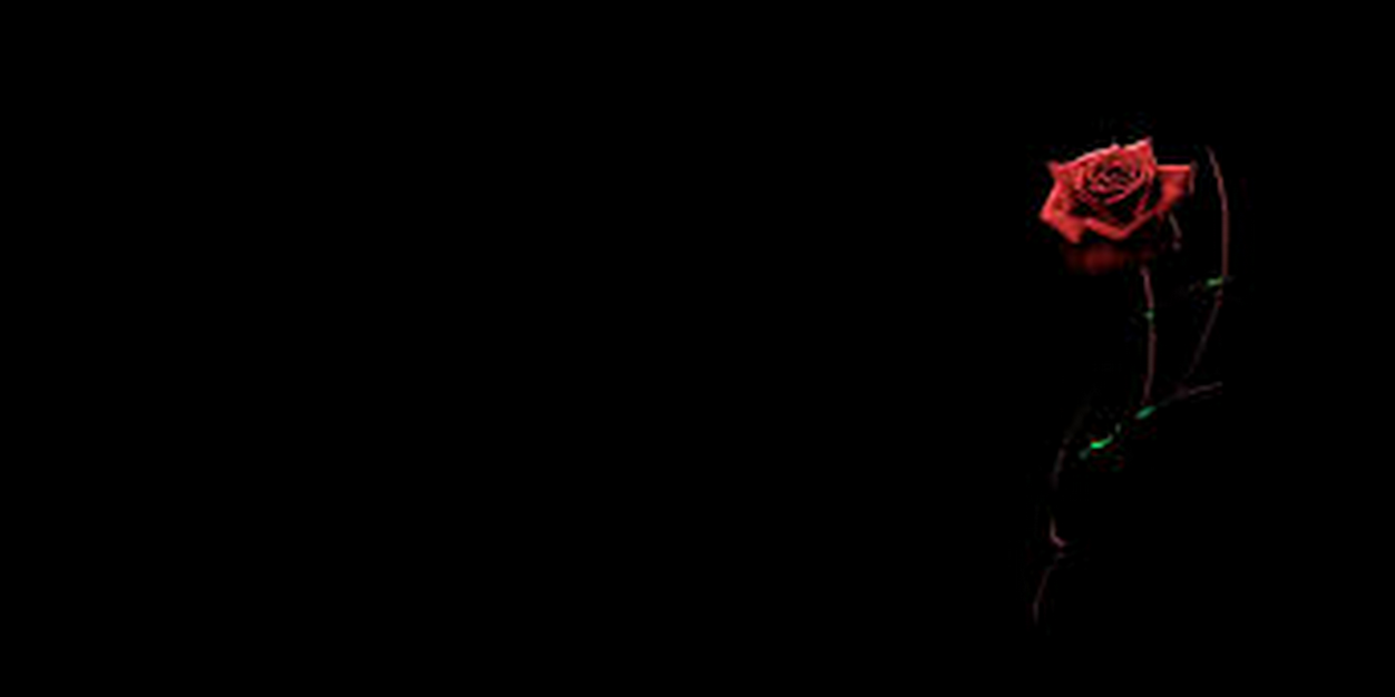 evaahutasoit's profile banner image