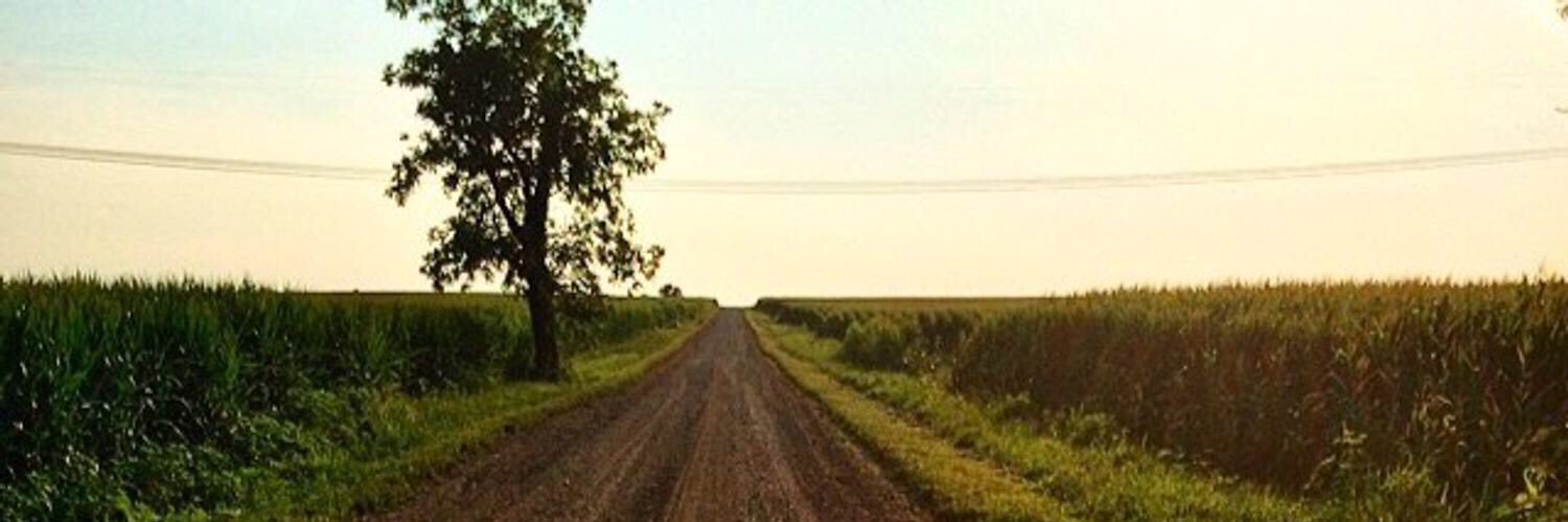 amanda__koch's profile banner image