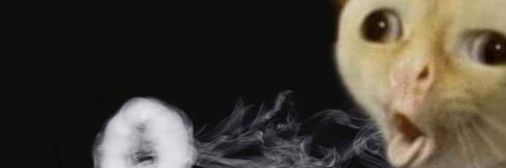 tavits 💥 banner