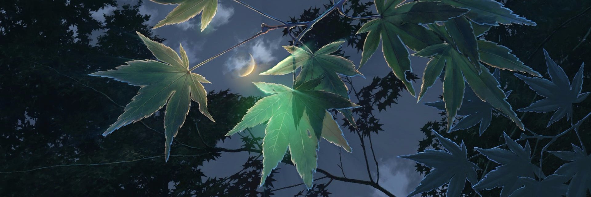 lolSaegan's profile banner image