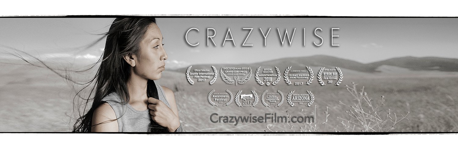 CRAZYWISE Film banner