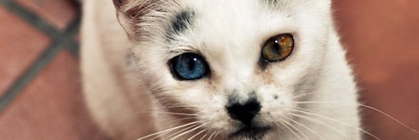 Barbara_Parode's profile banner image