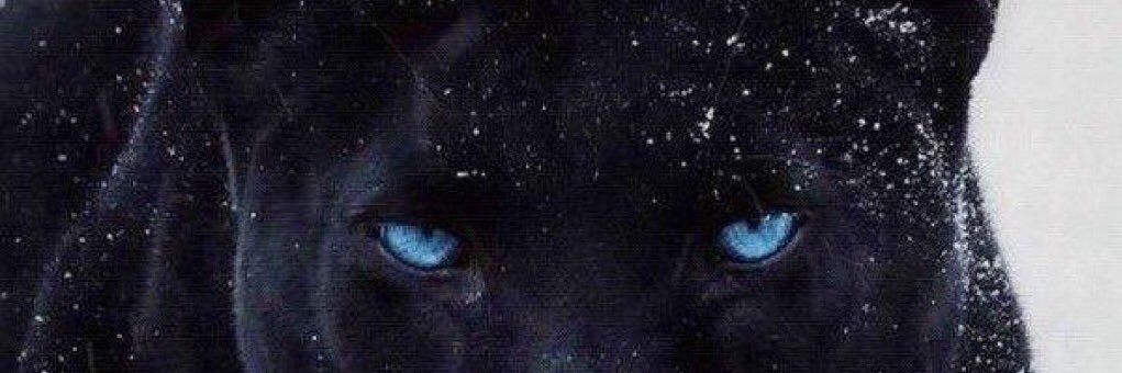 dnyamon82's profile banner image