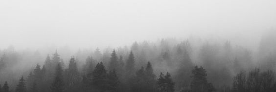 annnilyn's profile banner image