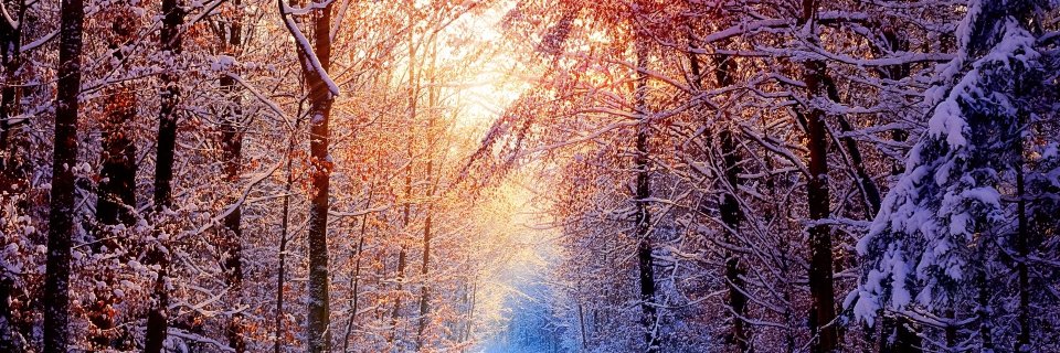Angel_4125's profile banner image