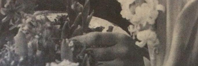 villagefolklore's profile banner image