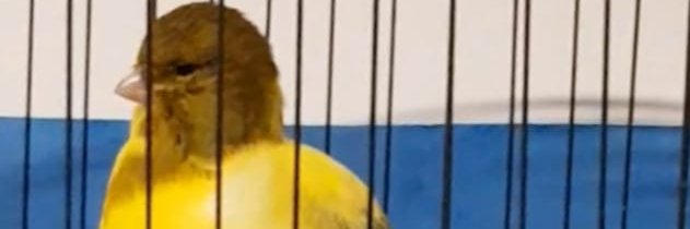 warrie1983's profile banner image
