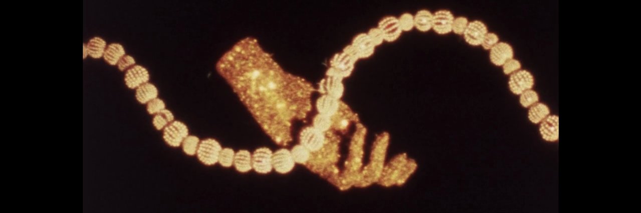 cuadronegro_'s profile banner image