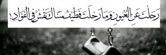 7871alaa's profile banner image