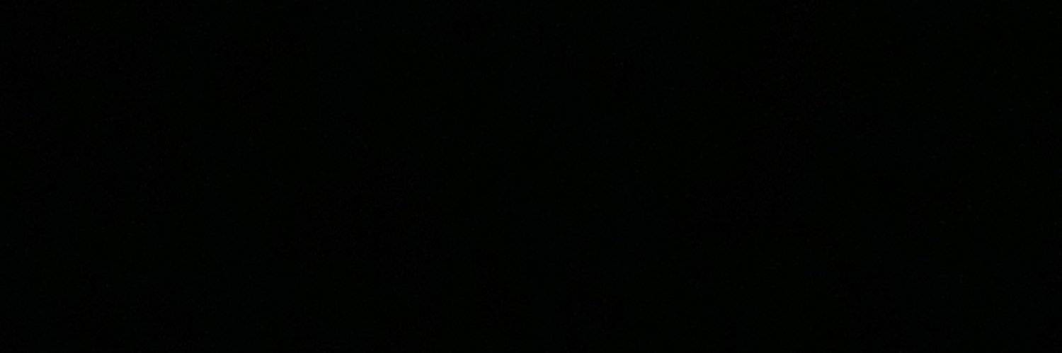 Black Bauer banner