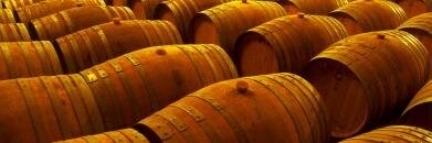 MoxiesDowntown banner