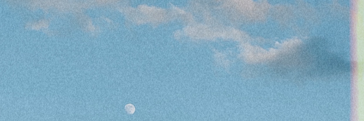 Happytreefrogg's profile banner image