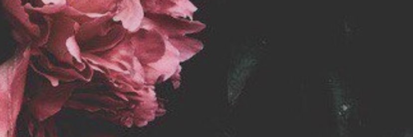𝕞𝕪𝕜𝕚 banner