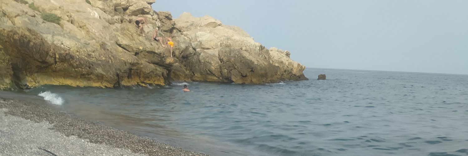 Ceelia_f_a's profile banner image