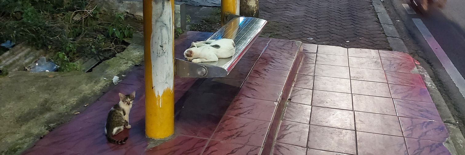 Michael Hillier banner