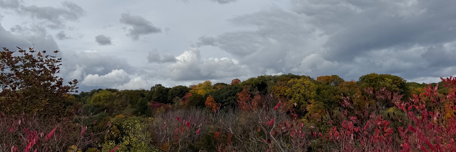 erinmackey_'s profile banner image